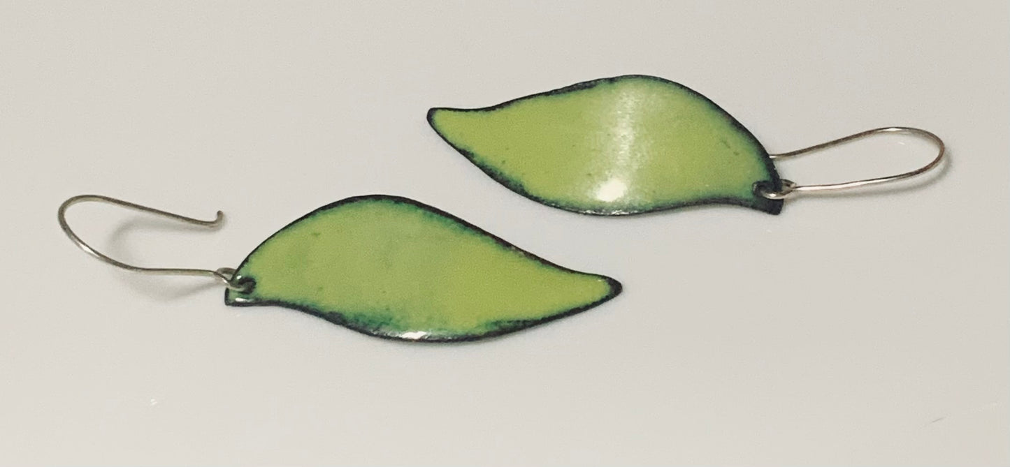 Light Green Leaf Shape